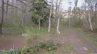 長野県菅平高原 ゆたか山荘 坂上 2026/05/07 16:30