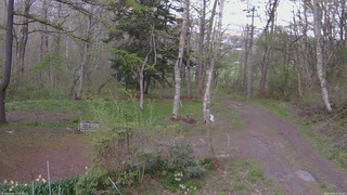 長野県菅平高原 ゆたか山荘 坂上 2026/05/07 17:30
