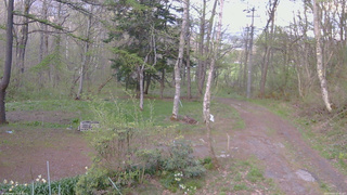 長野県菅平高原 ゆたか山荘 坂上 2026/05/07 17:45