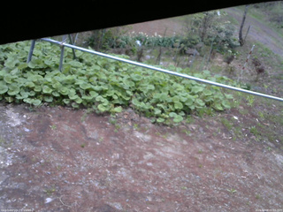 長野県菅平高原 ゆたか山荘 駐車場 2026/05/08 05:15
