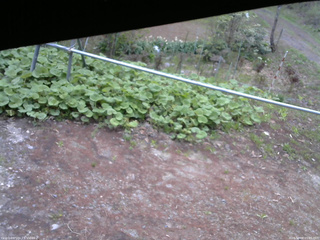 長野県菅平高原 ゆたか山荘 駐車場 2026/05/08 05:45