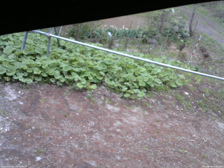長野県菅平高原 ゆたか山荘 駐車場 2026/05/08 06:00