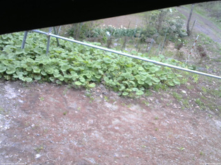 長野県菅平高原 ゆたか山荘 駐車場 2026/05/08 06:45