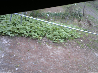 長野県菅平高原 ゆたか山荘 駐車場 2026/05/08 07:00