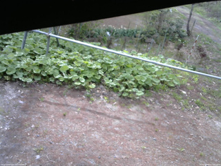 長野県菅平高原 ゆたか山荘 駐車場 2026/05/08 07:15