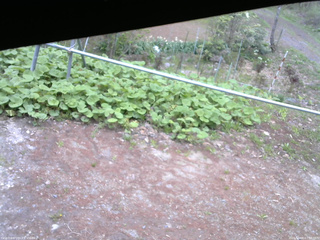 長野県菅平高原 ゆたか山荘 駐車場 2026/05/08 07:30