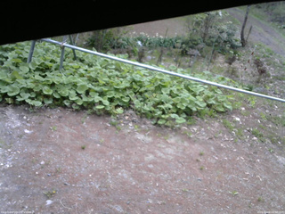 長野県菅平高原 ゆたか山荘 駐車場 2026/05/08 08:30