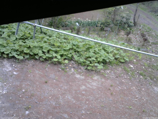 長野県菅平高原 ゆたか山荘 駐車場 2026/05/08 09:00