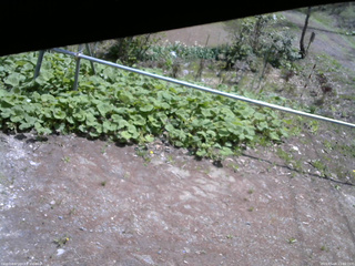 長野県菅平高原 ゆたか山荘 駐車場 2026/05/08 11:00