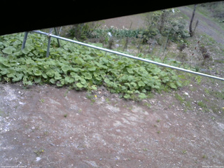 長野県菅平高原 ゆたか山荘 駐車場 2026/05/08 11:15