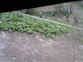 長野県菅平高原 ゆたか山荘 駐車場 2026/05/08 11:30