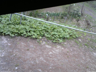長野県菅平高原 ゆたか山荘 駐車場 2026/05/08 12:00