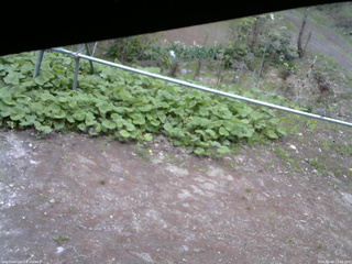 長野県菅平高原 ゆたか山荘 駐車場 2026/05/08 12:15