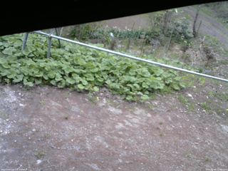 長野県菅平高原 ゆたか山荘 駐車場 2026/05/08 12:30