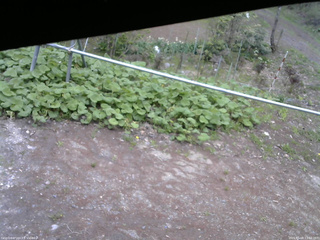 長野県菅平高原 ゆたか山荘 駐車場 2026/05/08 13:00