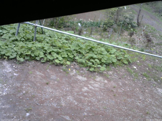 長野県菅平高原 ゆたか山荘 駐車場 2026/05/08 13:30