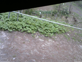 長野県菅平高原 ゆたか山荘 駐車場 2026/05/08 13:45