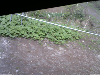 長野県菅平高原 ゆたか山荘 駐車場 2026/05/08 15:00