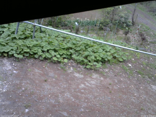 長野県菅平高原 ゆたか山荘 駐車場 2026/05/08 16:15