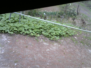 長野県菅平高原 ゆたか山荘 駐車場 2026/05/08 16:45