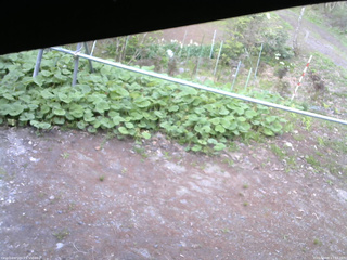 長野県菅平高原 ゆたか山荘 駐車場 2026/05/08 17:15