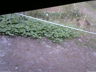 長野県菅平高原 ゆたか山荘 駐車場 2026/05/08 17:30