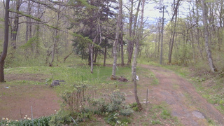 長野県菅平高原 ゆたか山荘 坂上 2026/05/08 07:15