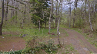 長野県菅平高原 ゆたか山荘 坂上 2026/05/08 08:15