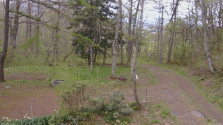 長野県菅平高原 ゆたか山荘 坂上 2026/05/08 08:45