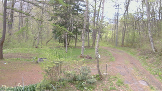 長野県菅平高原 ゆたか山荘 坂上 2026/05/08 09:00
