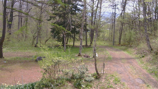 長野県菅平高原 ゆたか山荘 坂上 2026/05/08 10:30