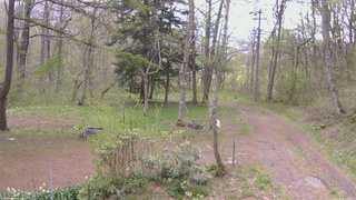 長野県菅平高原 ゆたか山荘 坂上 2026/05/08 11:30