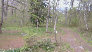 長野県菅平高原 ゆたか山荘 坂上 2026/05/08 13:15