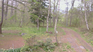 長野県菅平高原 ゆたか山荘 坂上 2026/05/08 16:30