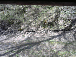 長野県菅平高原 ゆたか山荘 東側(坂下) 2026/05/09 13:15