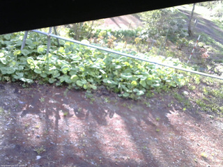 長野県菅平高原 ゆたか山荘 駐車場 2026/05/09 06:00