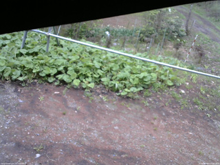長野県菅平高原 ゆたか山荘 駐車場 2026/05/09 07:30