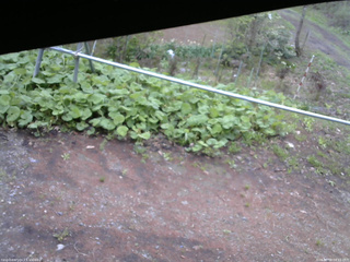 長野県菅平高原 ゆたか山荘 駐車場 2026/05/09 08:15