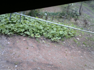 長野県菅平高原 ゆたか山荘 駐車場 2026/05/09 09:00