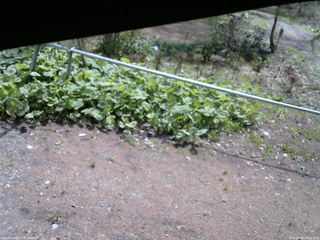 長野県菅平高原 ゆたか山荘 駐車場 2026/05/09 09:15