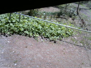 長野県菅平高原 ゆたか山荘 駐車場 2026/05/09 10:15