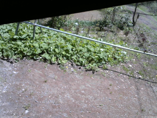 長野県菅平高原 ゆたか山荘 駐車場 2026/05/09 10:45