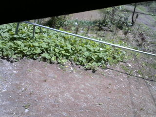 長野県菅平高原 ゆたか山荘 駐車場 2026/05/09 11:00