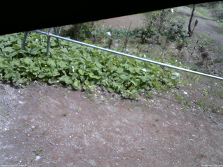 長野県菅平高原 ゆたか山荘 駐車場 2026/05/09 11:30