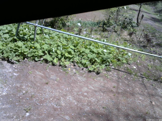 長野県菅平高原 ゆたか山荘 駐車場 2026/05/09 11:45