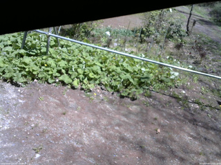 長野県菅平高原 ゆたか山荘 駐車場 2026/05/09 12:15