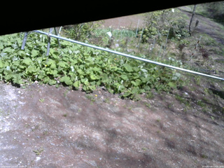 長野県菅平高原 ゆたか山荘 駐車場 2026/05/09 13:15