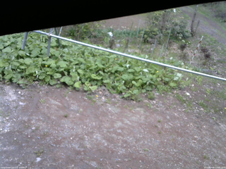 長野県菅平高原 ゆたか山荘 駐車場 2026/05/09 13:45