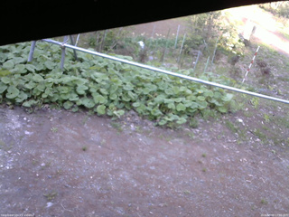 長野県菅平高原 ゆたか山荘 駐車場 2026/05/09 17:00