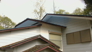 長野県菅平高原 ゆたか山荘 駐車場奥 2026/05/09 08:45